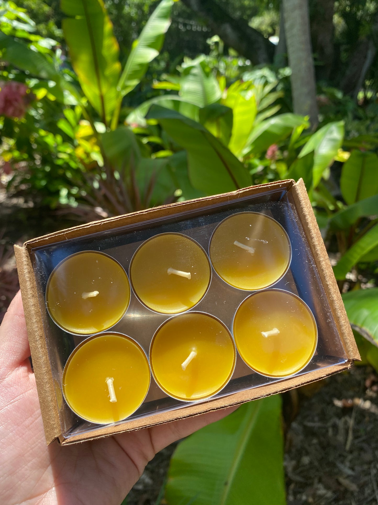 Simple Florida Beeswax Tealight Candles