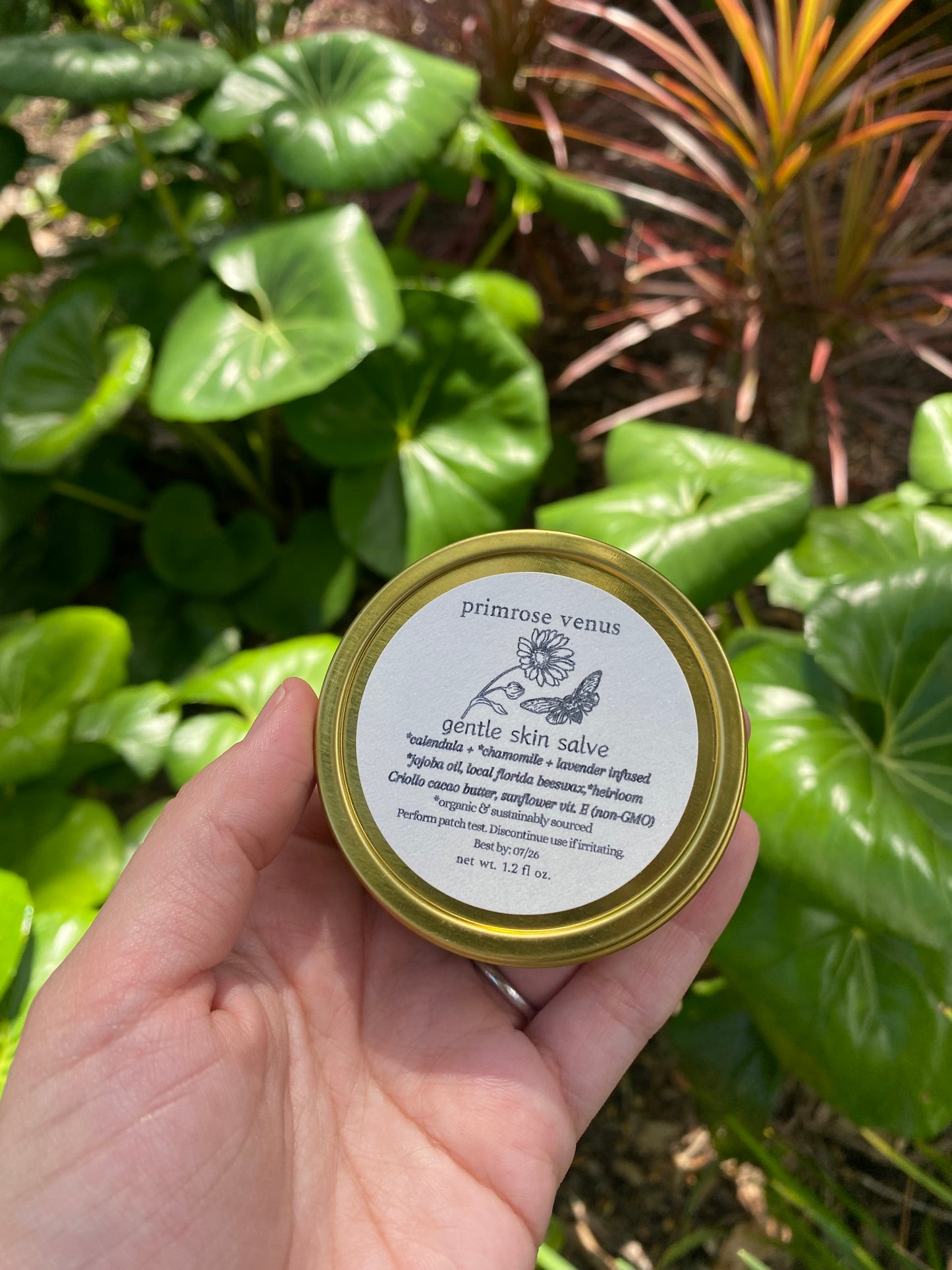 Gentle Skin Botanical Salve