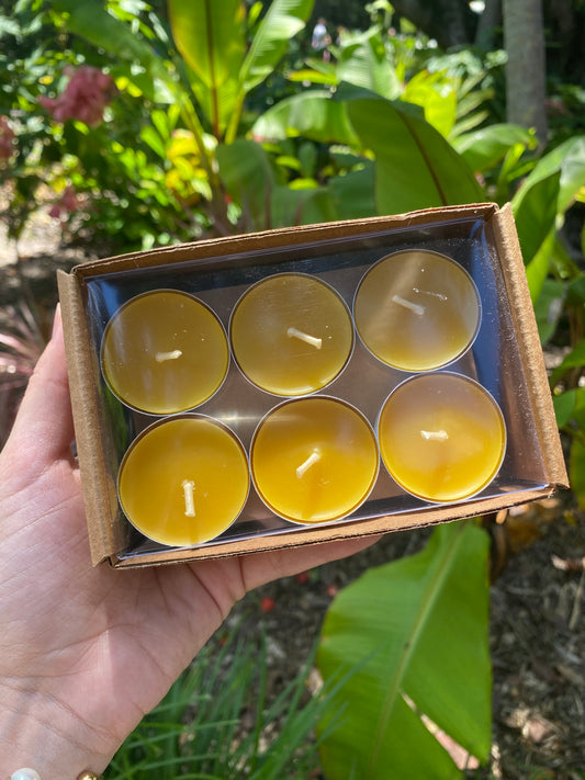 Simple Florida Beeswax Tealight Candles
