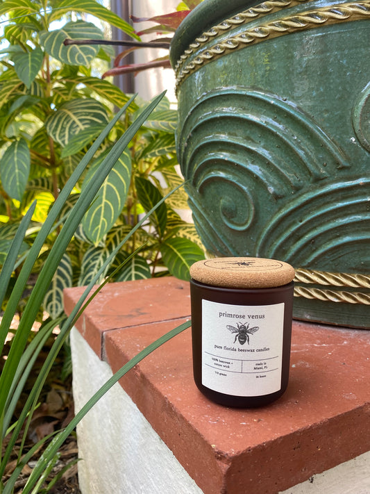 Matte Amber Jar Candle - 100% Florida Beeswax