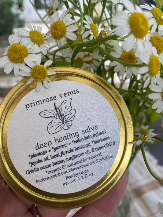 Deep Healing Skin Salve